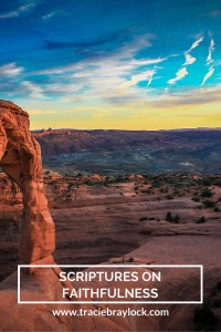 Scriptures on Faithfulness - Tracie Braylock RN